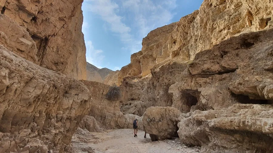 Canyon.webp