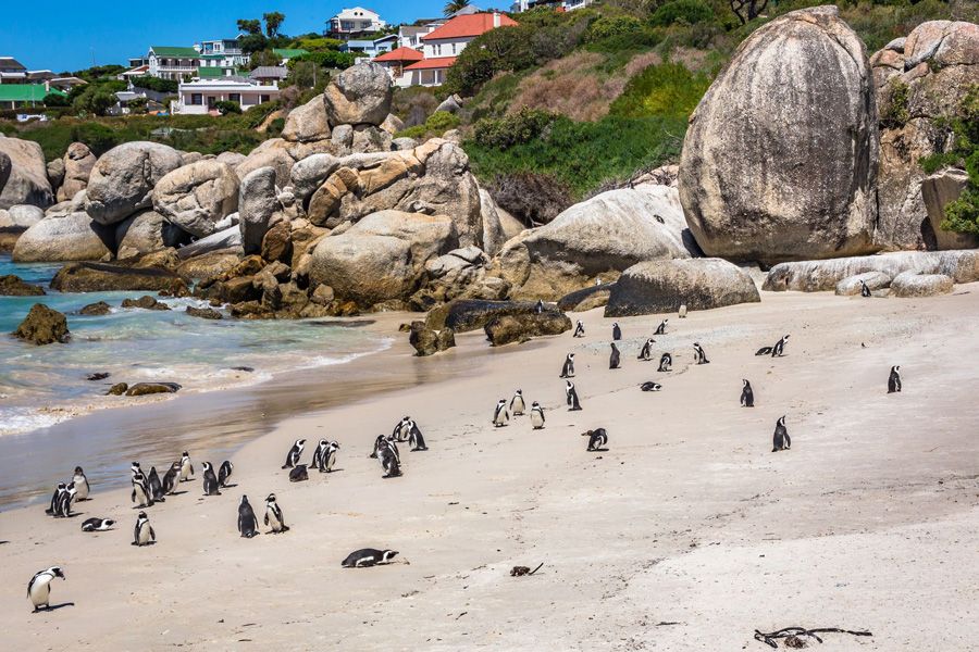 Cape-Town.jpg