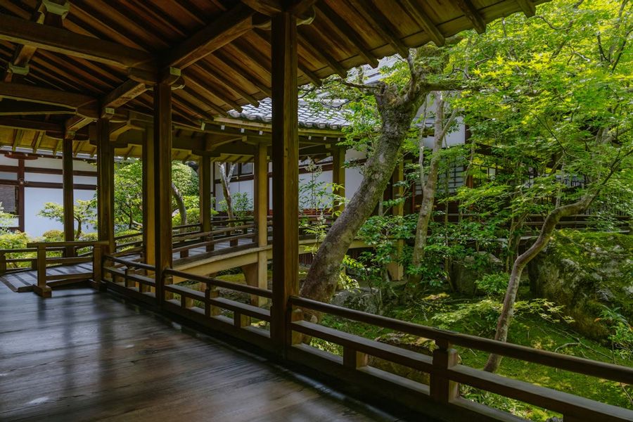 Forest Treehouse Resorts in Japan.jpg