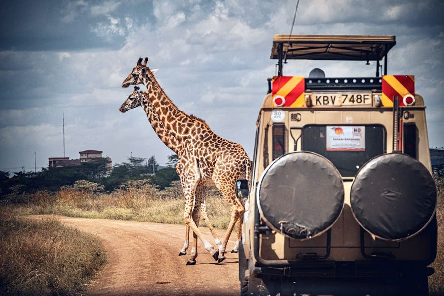 Kenya.jpg