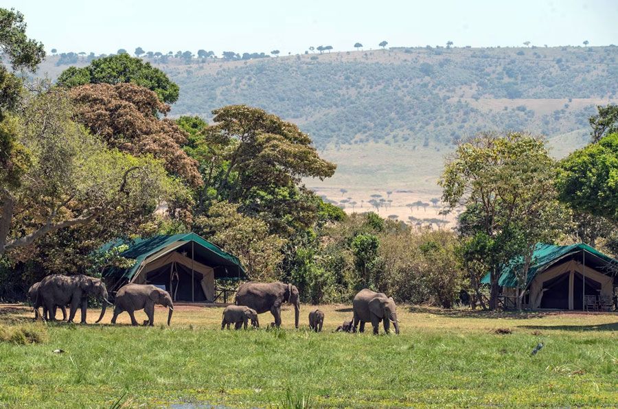 Safari-Tents-in-Kenya.jpg