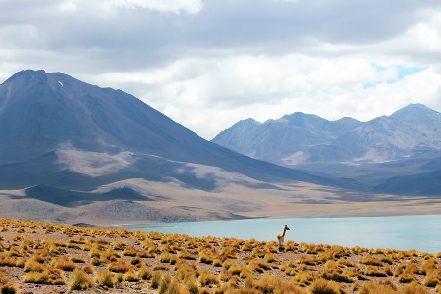 atacama-desert.jpg