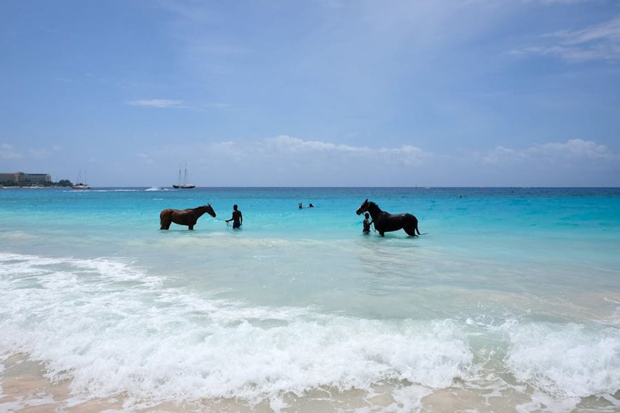 barbados.jpg