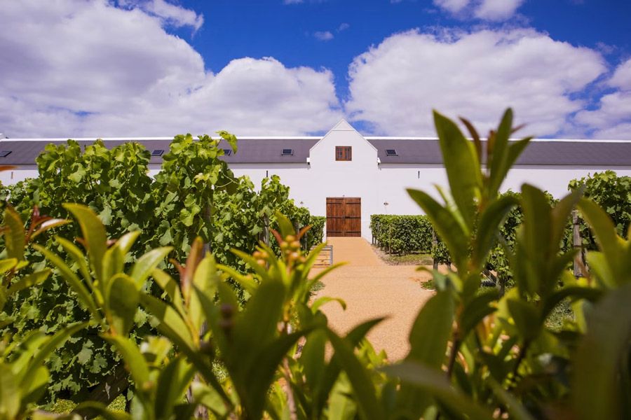 cape-winelands.jpg