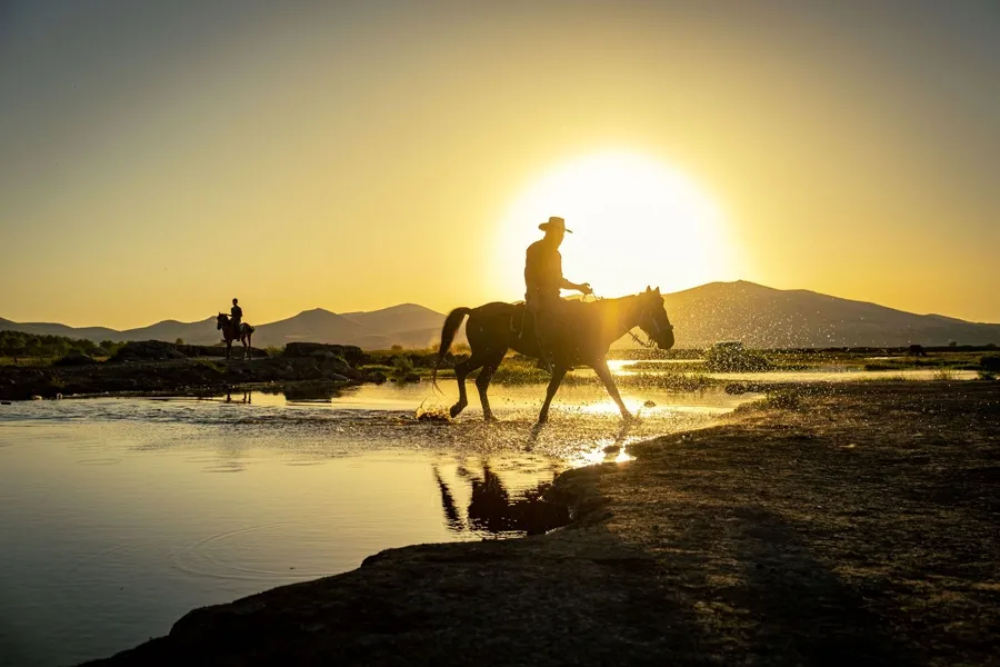 cowboy-sunsent.webp