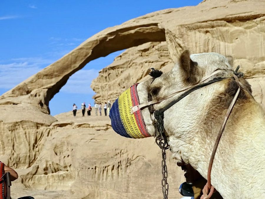 egypt.jpg