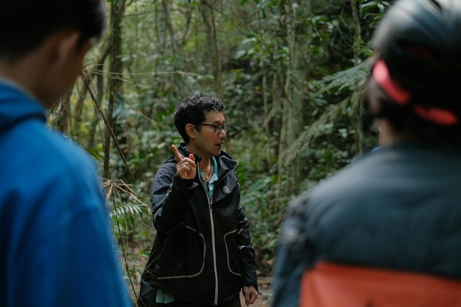 forest-tour.jpg