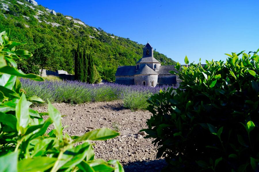 provence.jpg