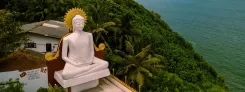 blog-image-1
