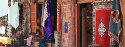 blog-image-2